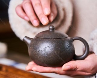 松鼠西施 松鼠西施